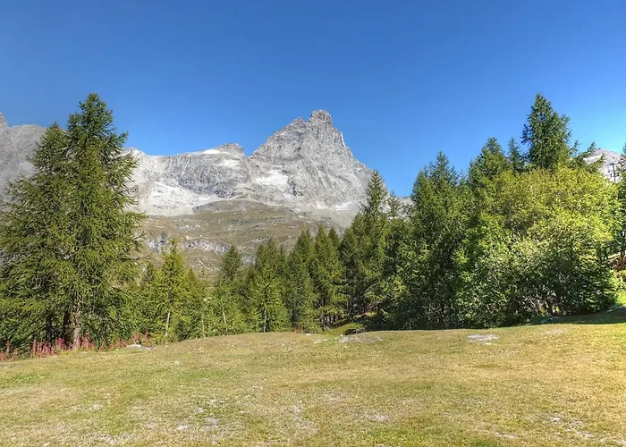 דירה Marcolski 2 *